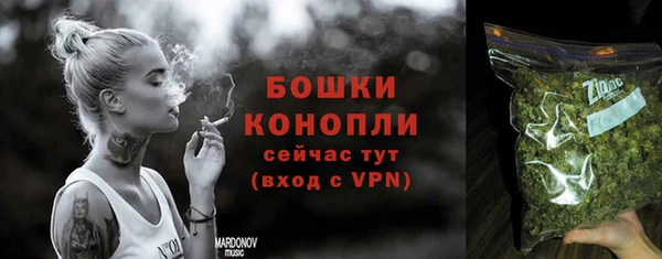 молекула духа Липки