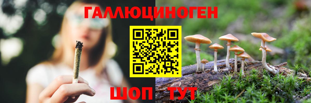 Псилоцибиновые грибы прущие грибы Урюпинск